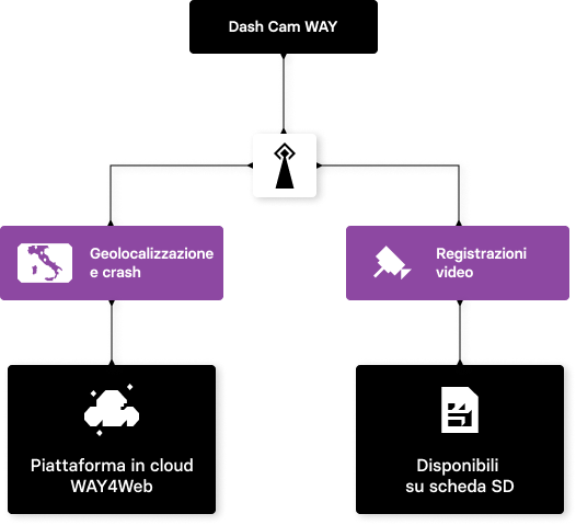 Infografica Dash cam WAY profilo standard